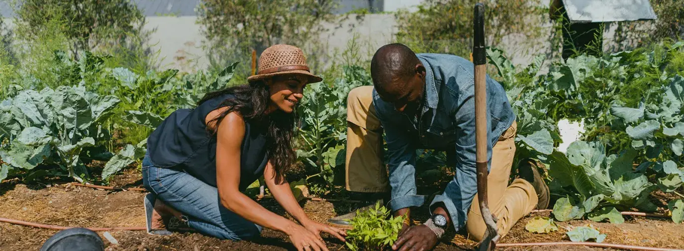 Climate Victory Gardens